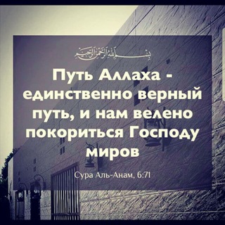 🌴...UMMA TAUHIDA...🌴 - Telegram Channel link