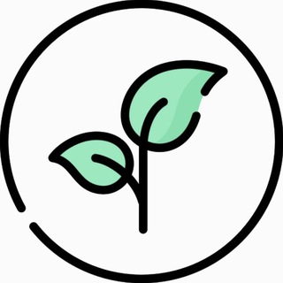 Музыка для йоги и медитации - Telegram Channel link