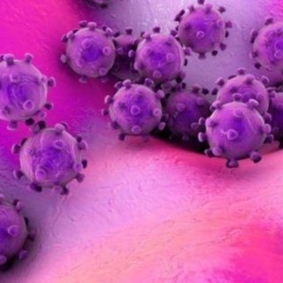 CORONAVIRUS HABARLAR - Telegram Channel link